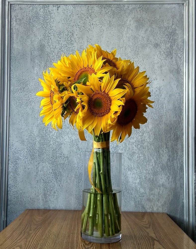 Photograph by Евгения Довгаль