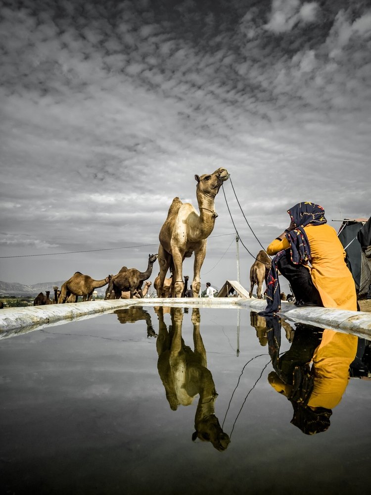 Photograph by Dhruv Dixit