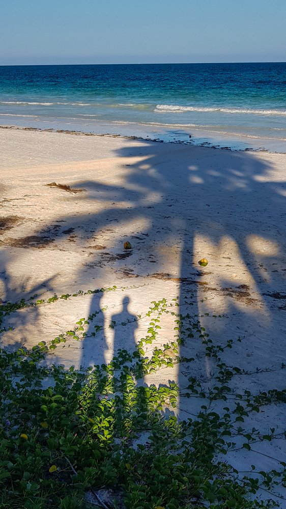 Photograph by Дмитрий Николаев