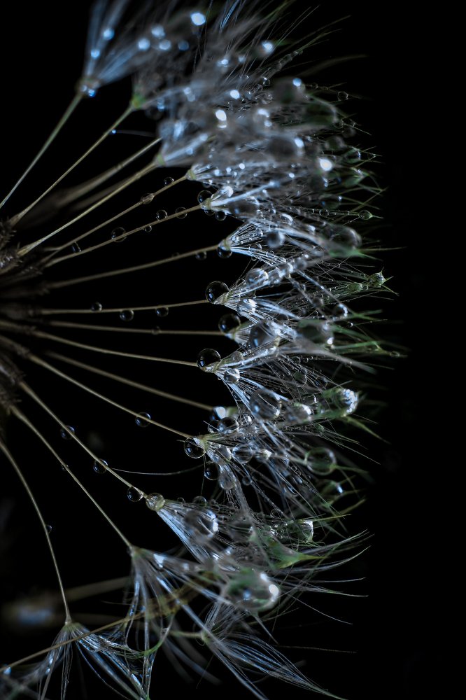 Photograph by Татьяна Ломоносова