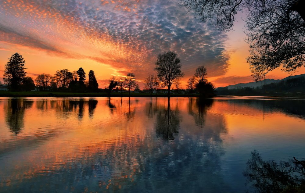 Photograph by Elena Wymann