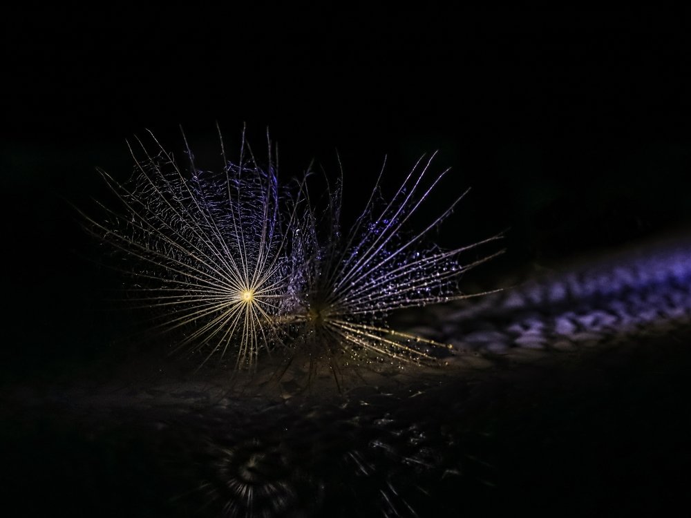 Photograph by Татьяна Ломоносова