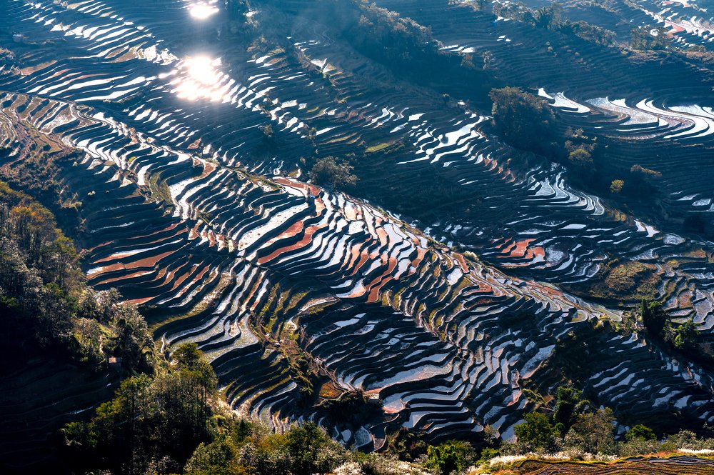 Photograph by Кирина Елизавета