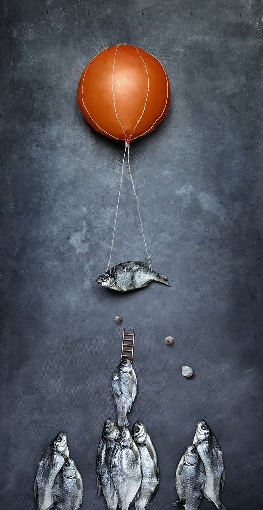 Photograph by Юлия Камынина