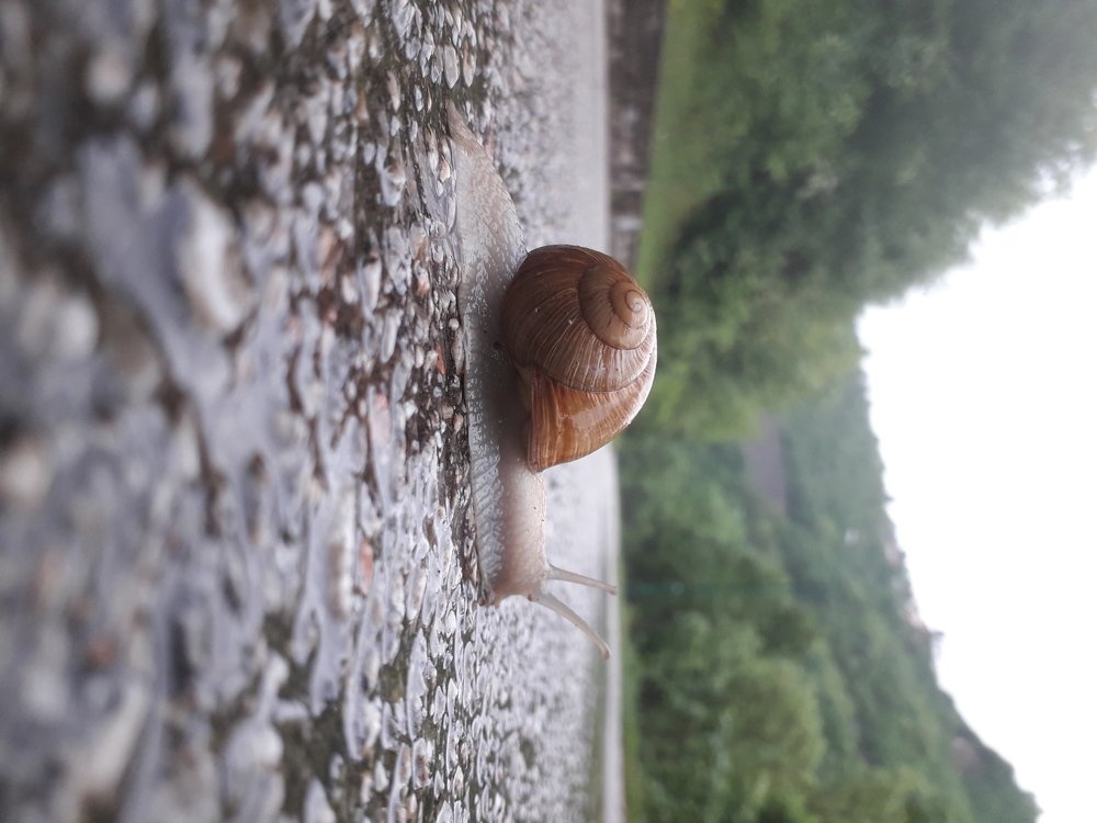 Photo #5419119