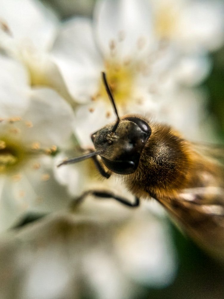 Photograph by Levan Svanidze