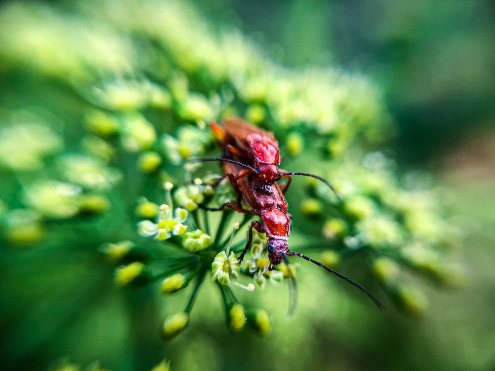 Photograph by Levan Svanidze