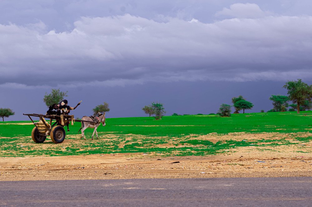 Photograph by Saad mustafa