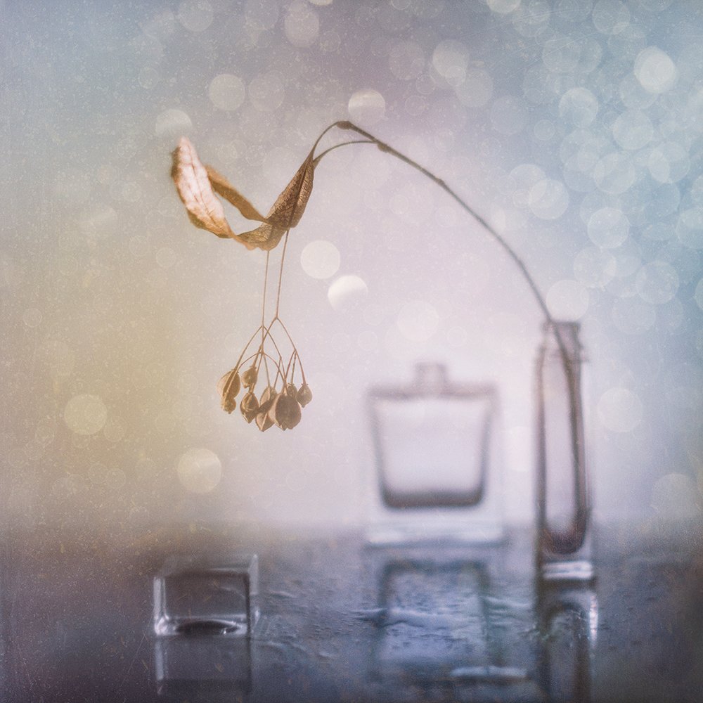 Photograph by MVO (Марк Орлов)