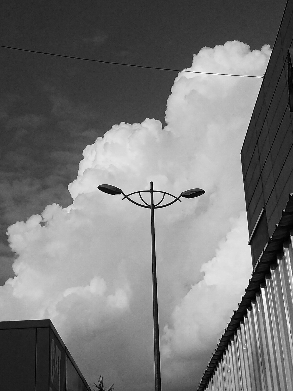Photo #5419223
