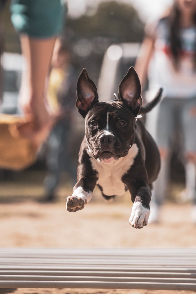 Photograph by Виола Поликарпова