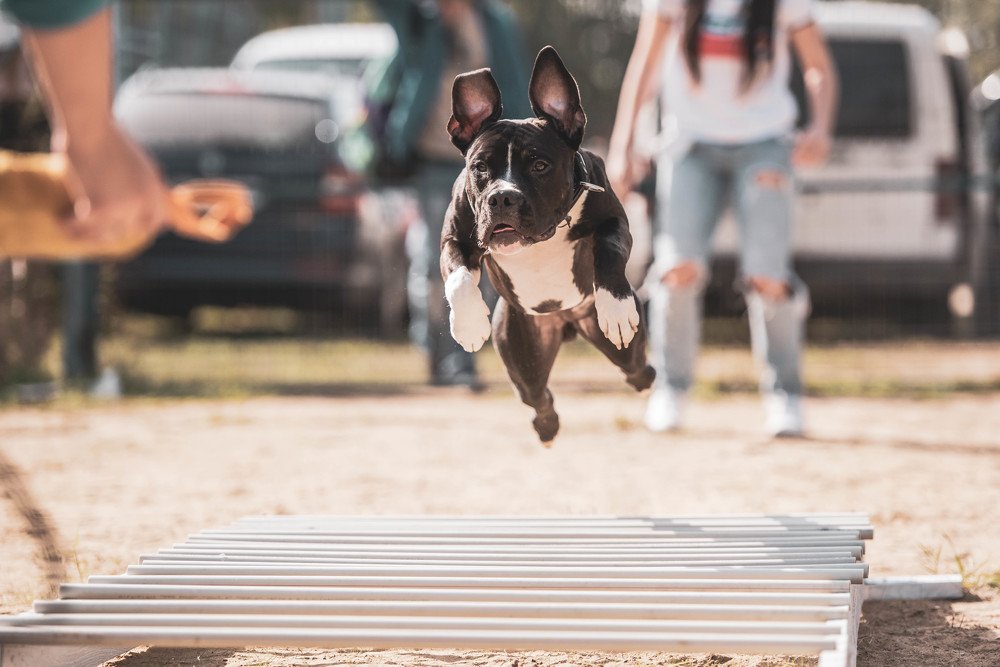 Photograph by Виола Поликарпова