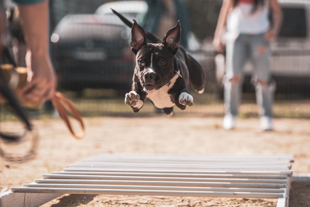 Photograph by Виола Поликарпова