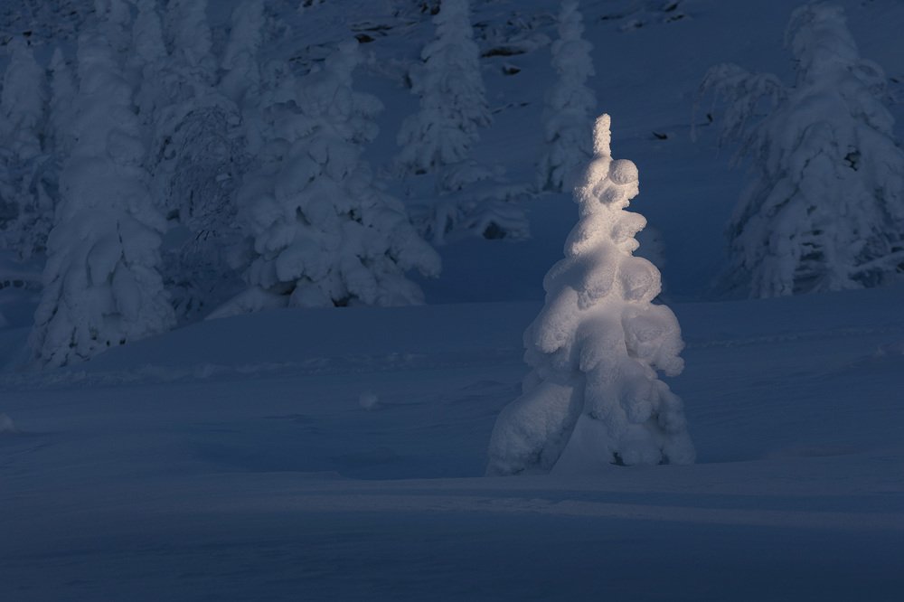 Photograph by Сергей Гарифуллин