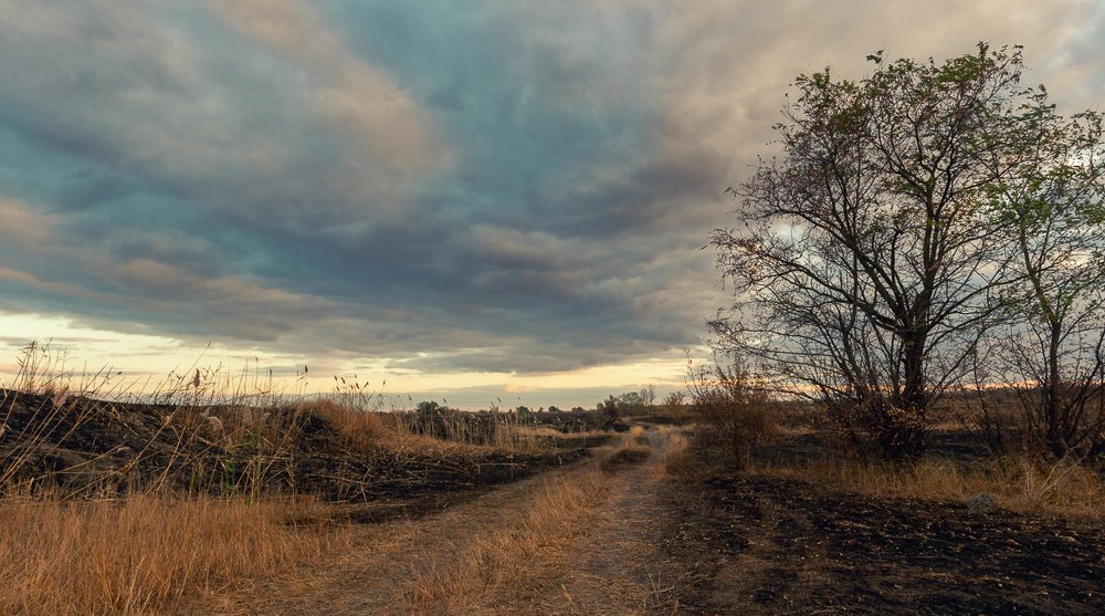 Осенние мотивы