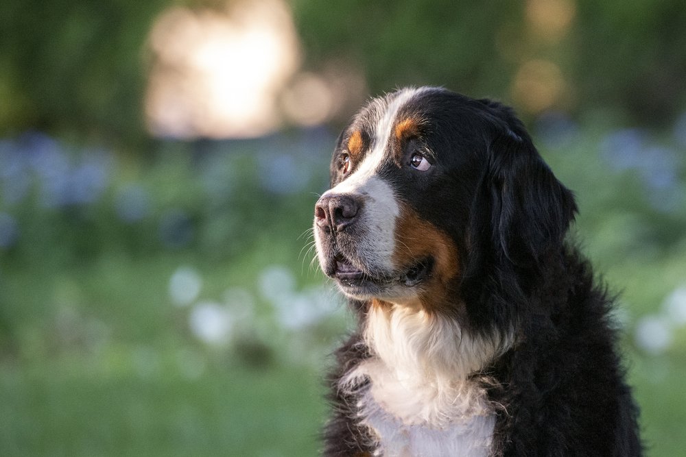 Photograph by Виола Поликарпова