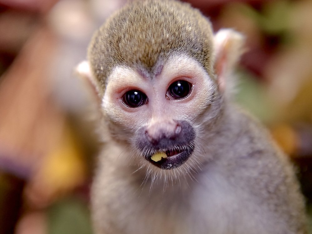 Photograph by Елена Мормоль