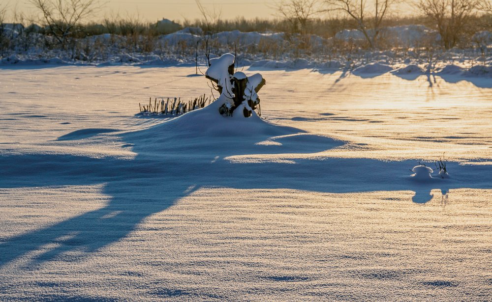 Холодные тени зимы