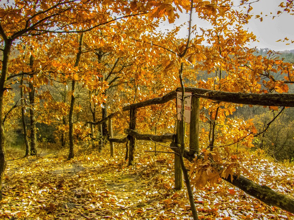 Túristaút Hollókő.