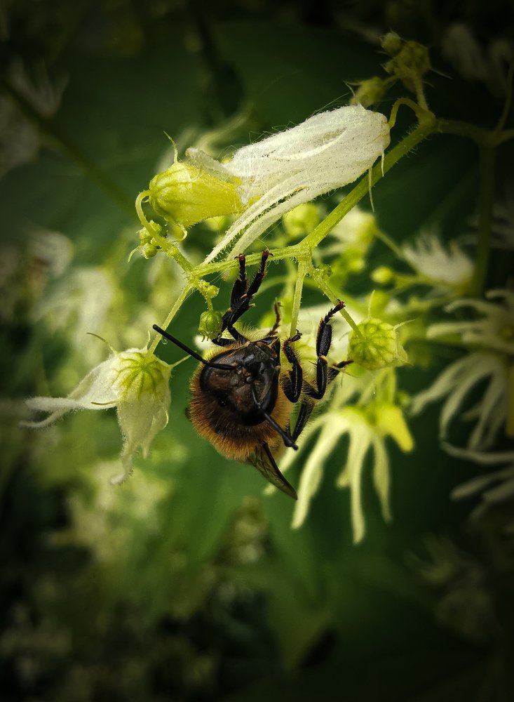 Photograph by Ольга Воронова