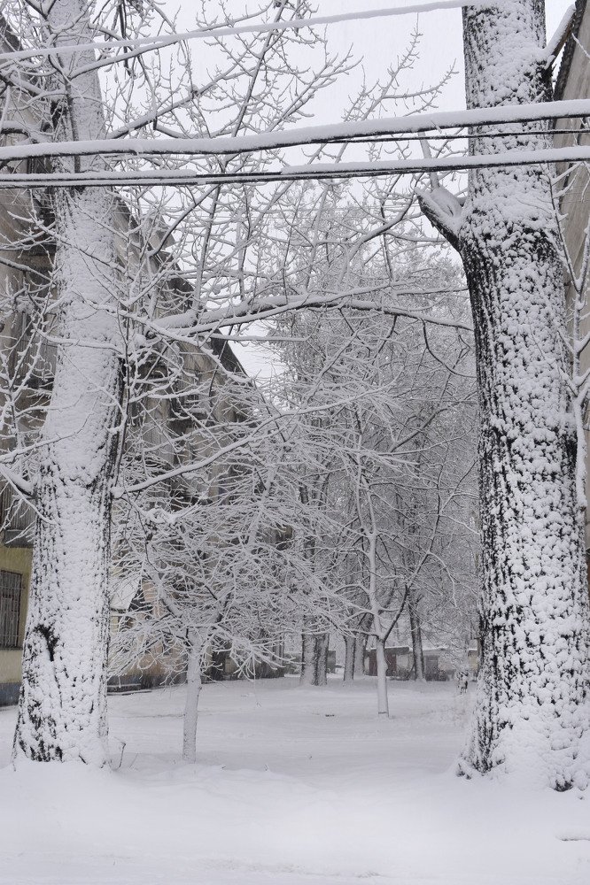 Photograph by Тарасова Инна