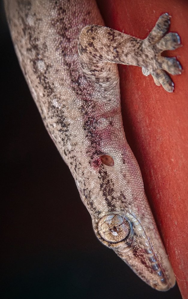 Photograph by Susmita Ghosh