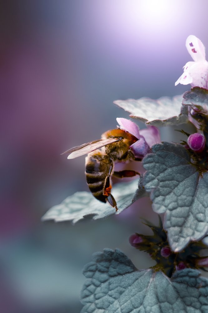 Photograph by Евгений Горланов