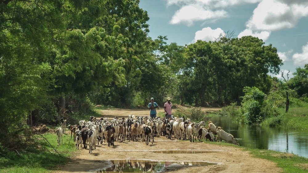 Photograph by Abdullah Nazeef