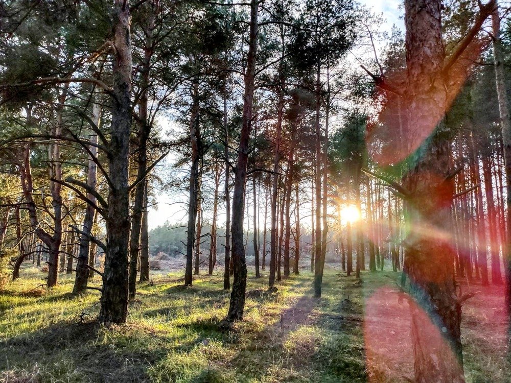 Photograph by Оксана Боднарчук