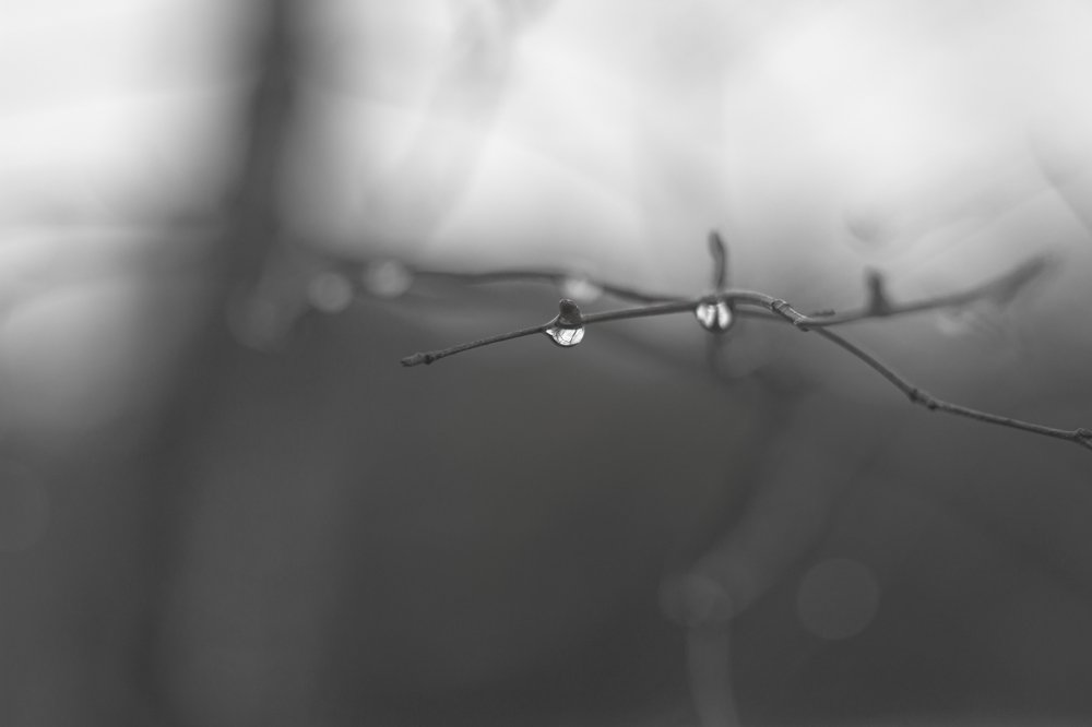 Photograph by Дмитрий Портных