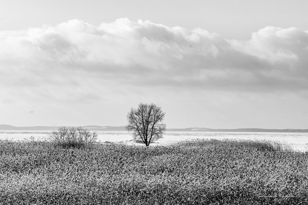 Фотография автора Viaceslavas Bazykas