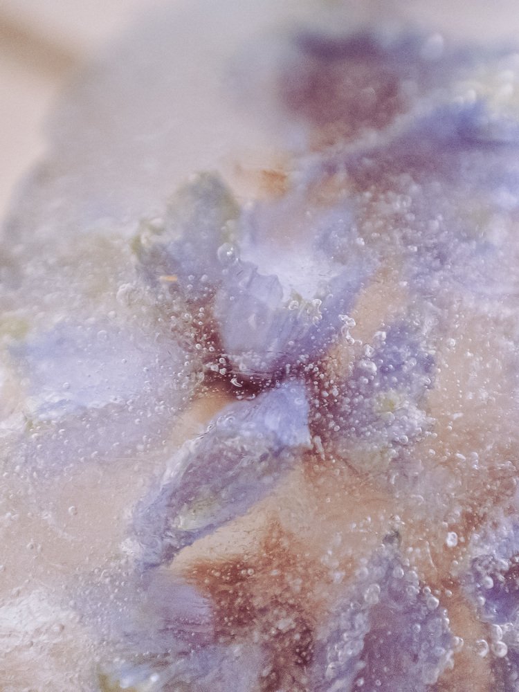 Photograph by Tatyana Belova