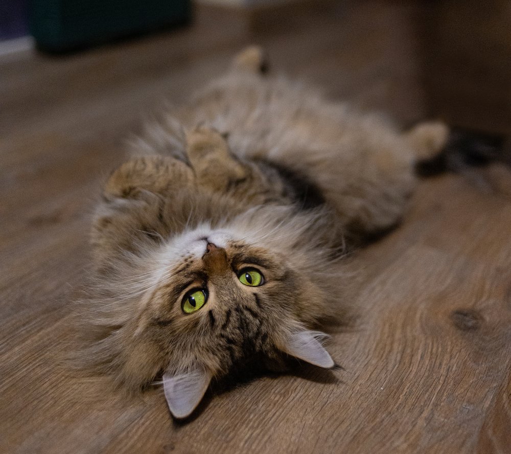 Photograph by Виктория Копытова