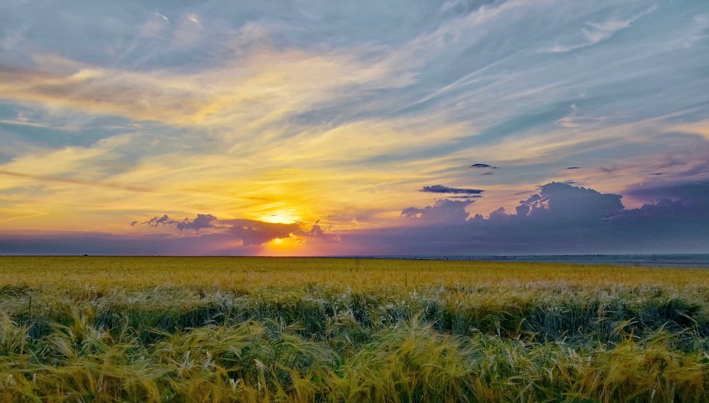 Photograph by Василий Быстрицкий