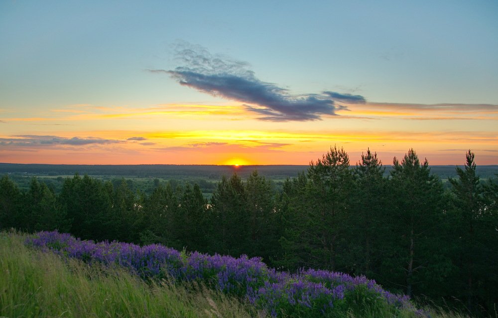 Photograph by Василий Быстрицкий