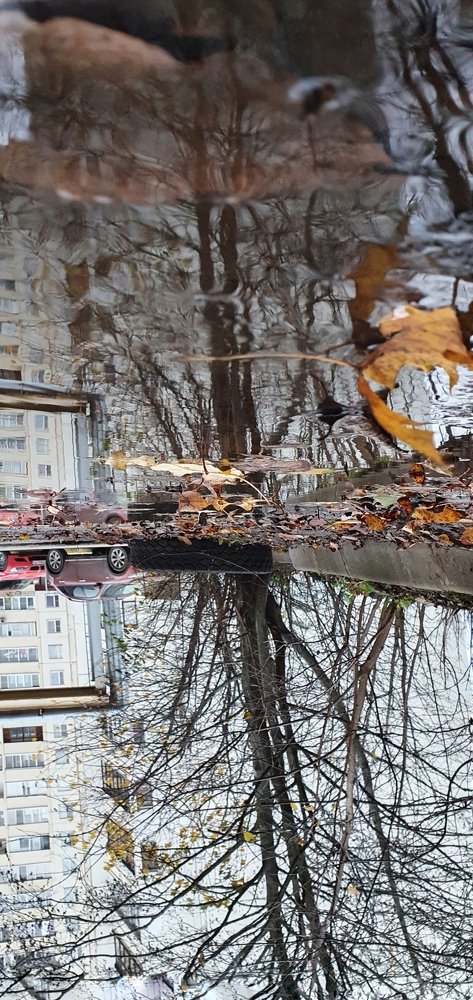 Photograph by Алина Акишина