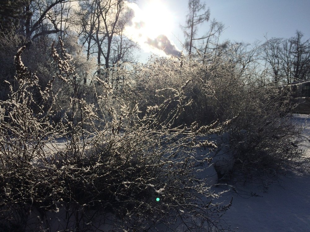 Невесомая ажурность. Мороз в Санкт-Петербурге.