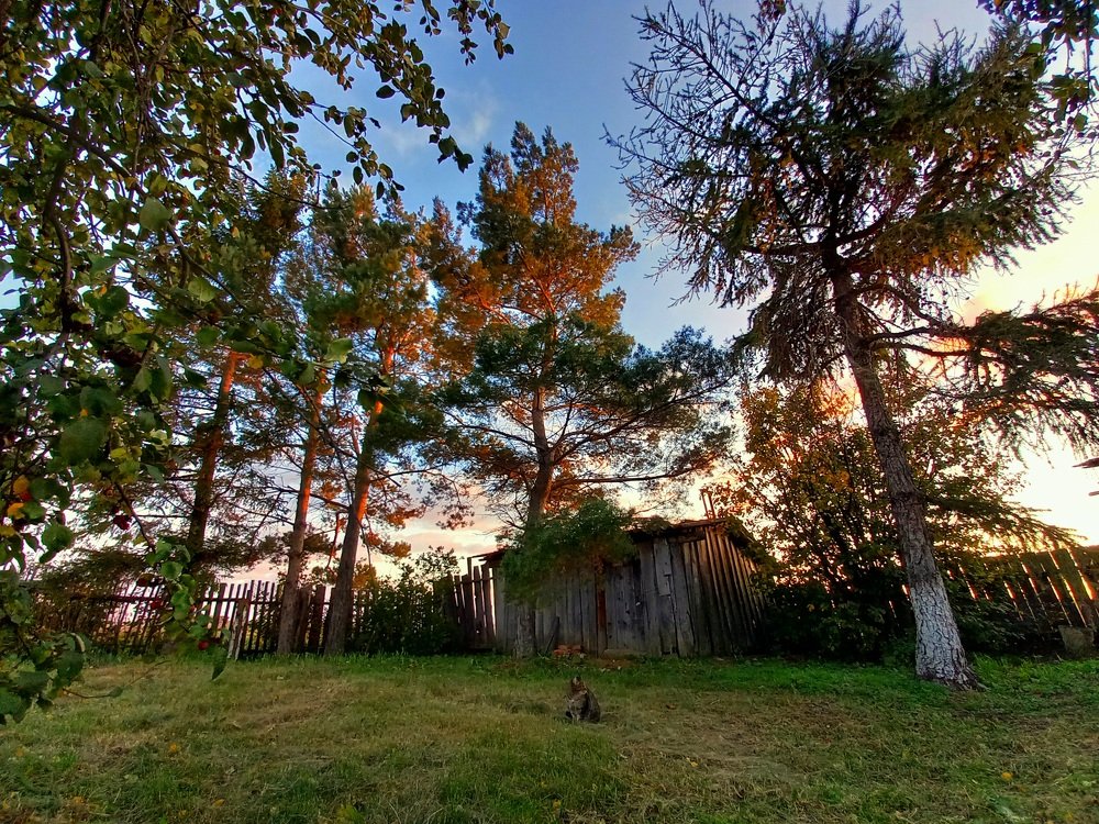 Photograph by Юлия Гудкова