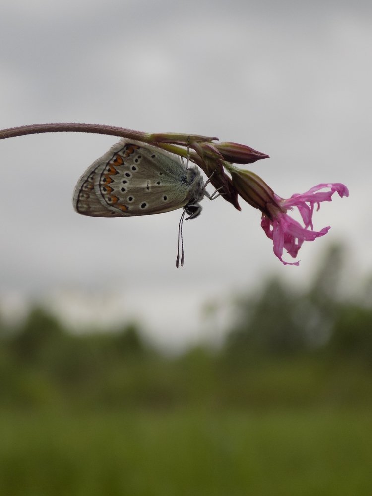 Photograph by Виктория Подрезова