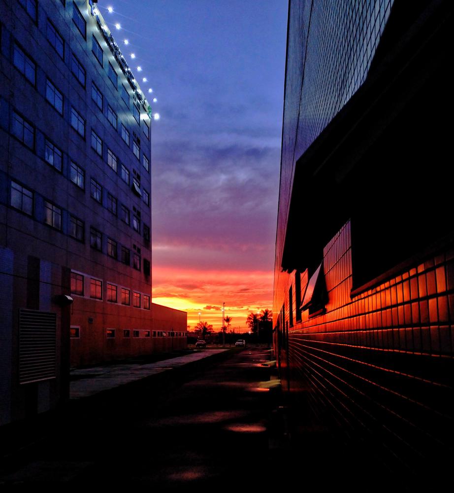 Фотография автора Diogo Thompson Ribeiro