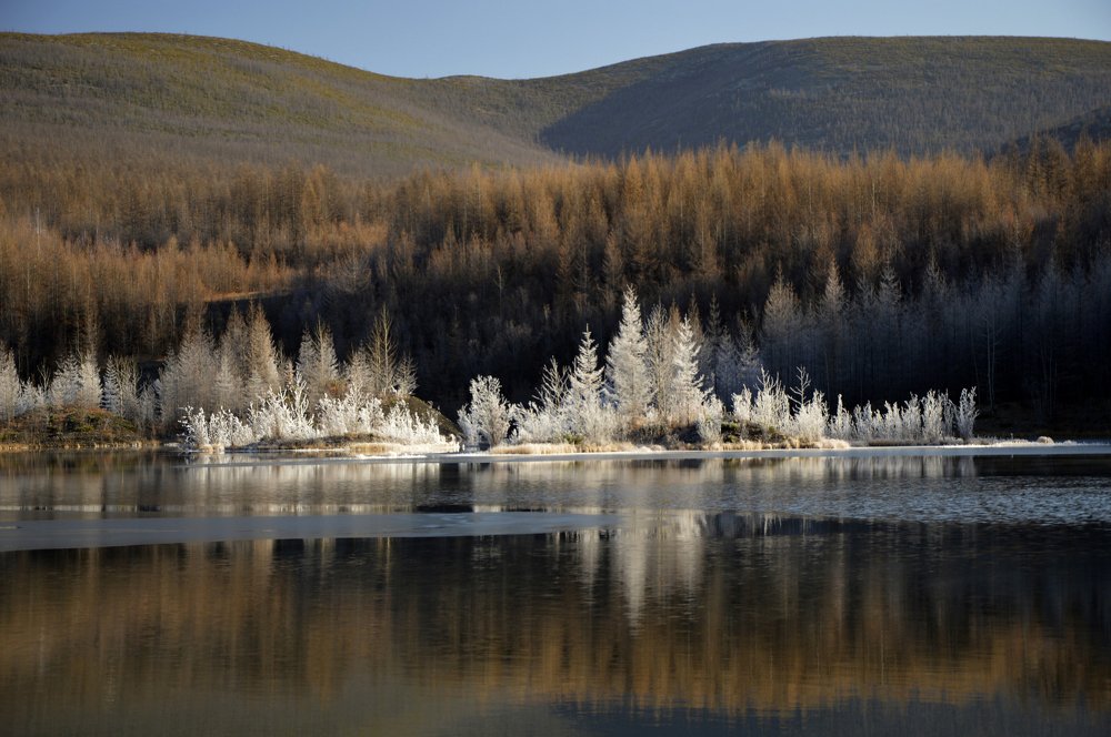 Первый морозец.