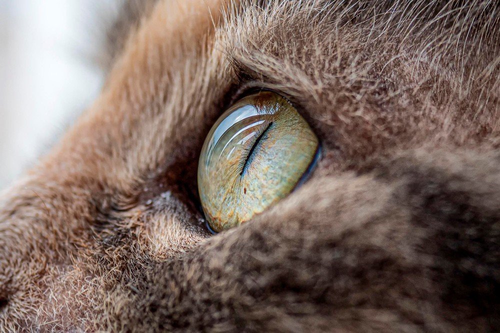 Photograph by Андрей Ныриков