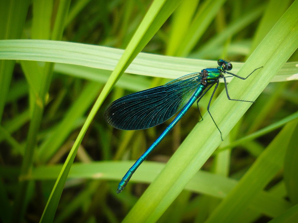 Photograph by Филиппов Олег