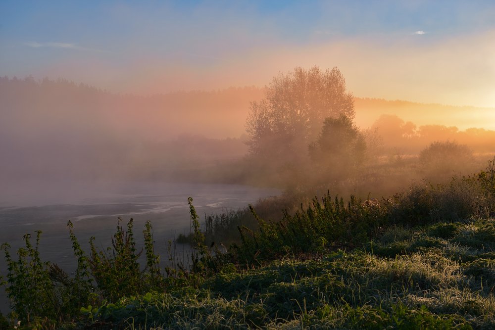 Осенний туман с подсветкой