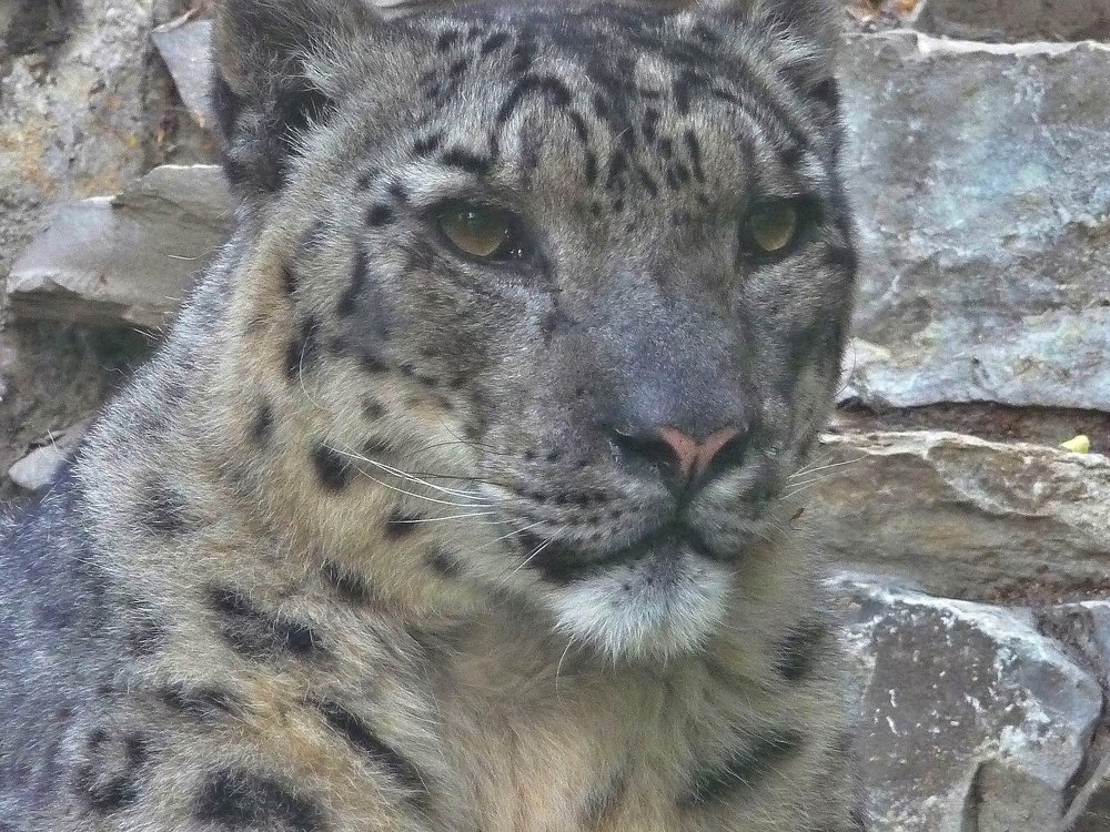 Фотография автора Клавдия Васильева