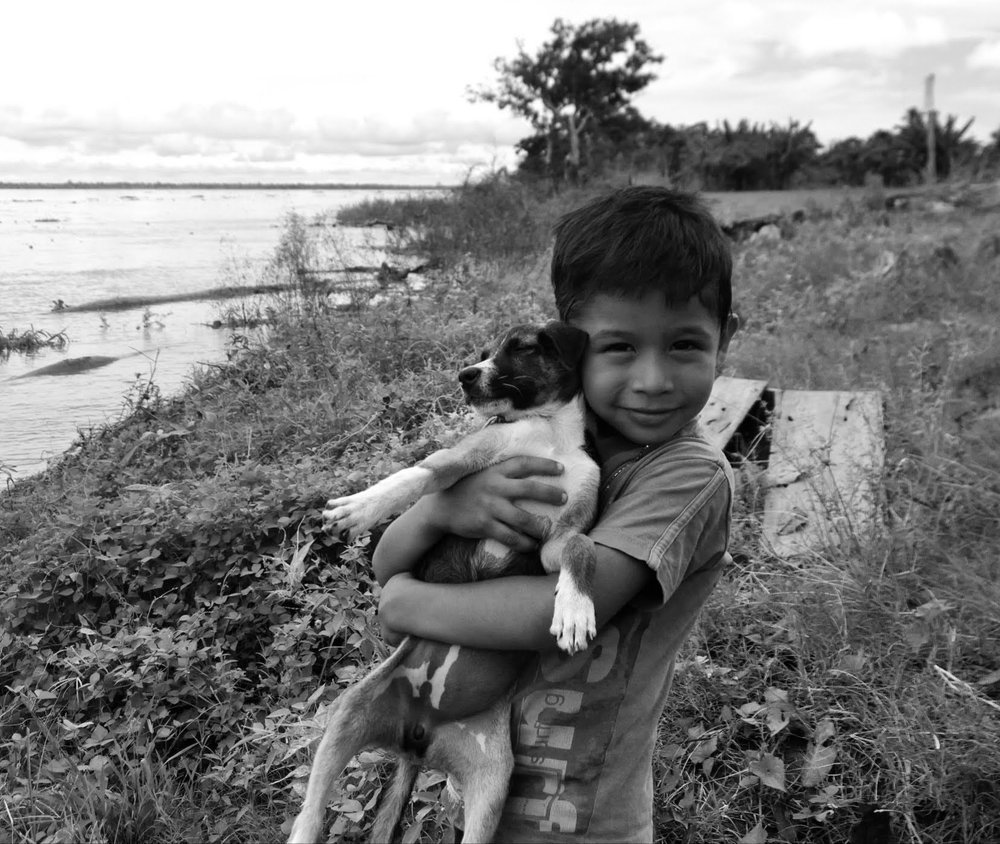 passeando com cachorro.