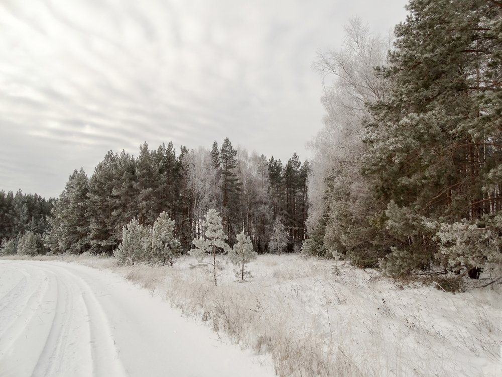 Морозное утро.