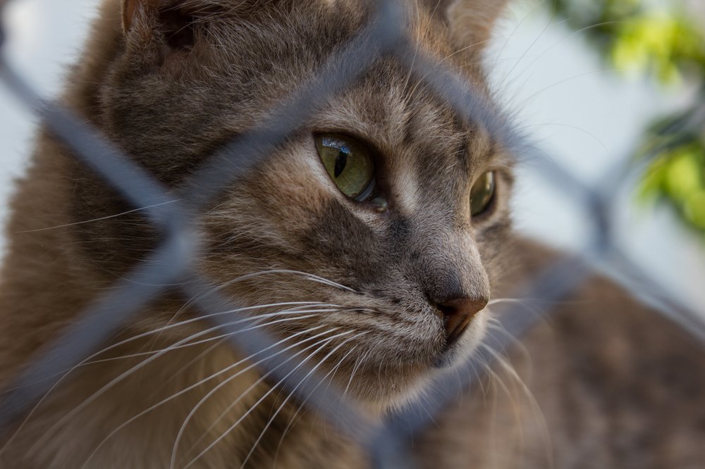 Photograph by Павел Дженбаз