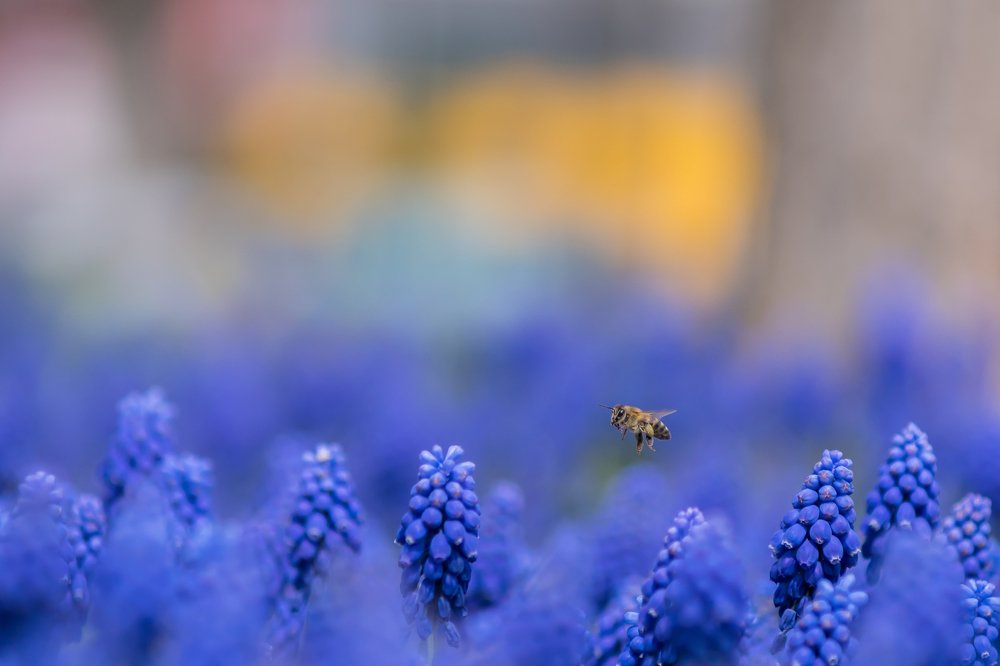 Photograph by Ramazan Cirakoglu