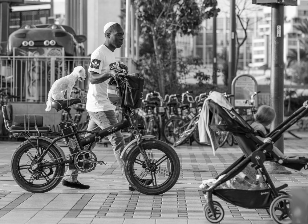 Фотография автора Dmitry Shterenberg